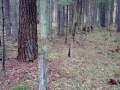 Attēls0171