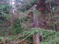 Attēls0176
