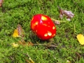 DSCF0897