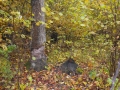 DSCF0903