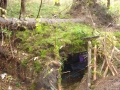 DSC00709