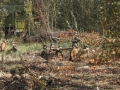 s1_22230-min