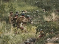 s1_22245-min