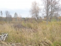 DSC00695