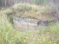 DSC00697