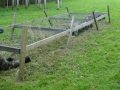 DSC01761