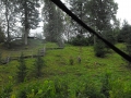 DSCF0318