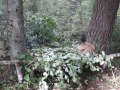 PHOTO-2021-09-12-09-36-59